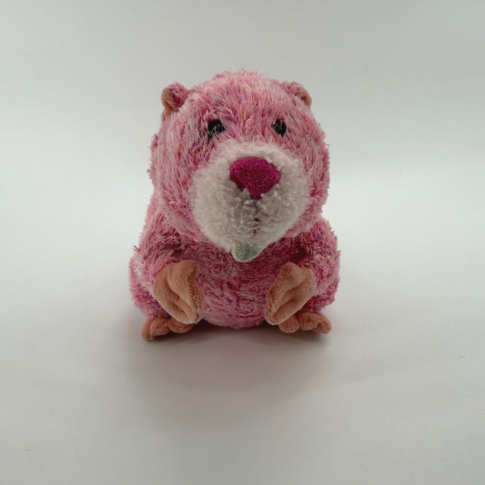 Ganz Webkinz Summer Beaver Pink Plush Stuffed Animal HM651 8 Inch No Code